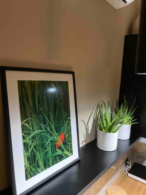 Dream Home Serres Romantic Living Luaran gambar